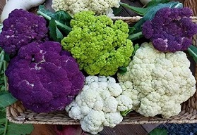 تصویر 1 از خرید و قیمت گل کلم گلخانه ای + فروش عمده
